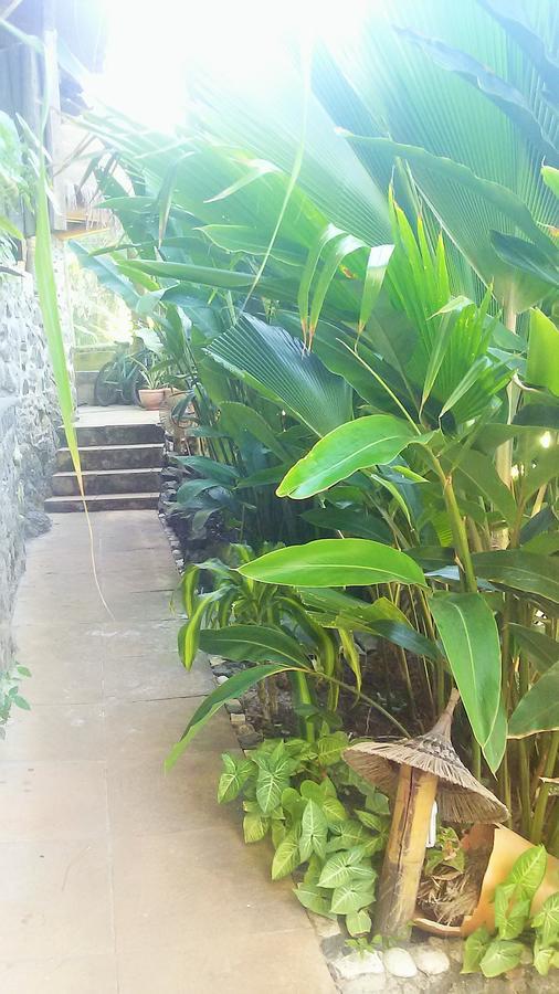 Tanara Itacare