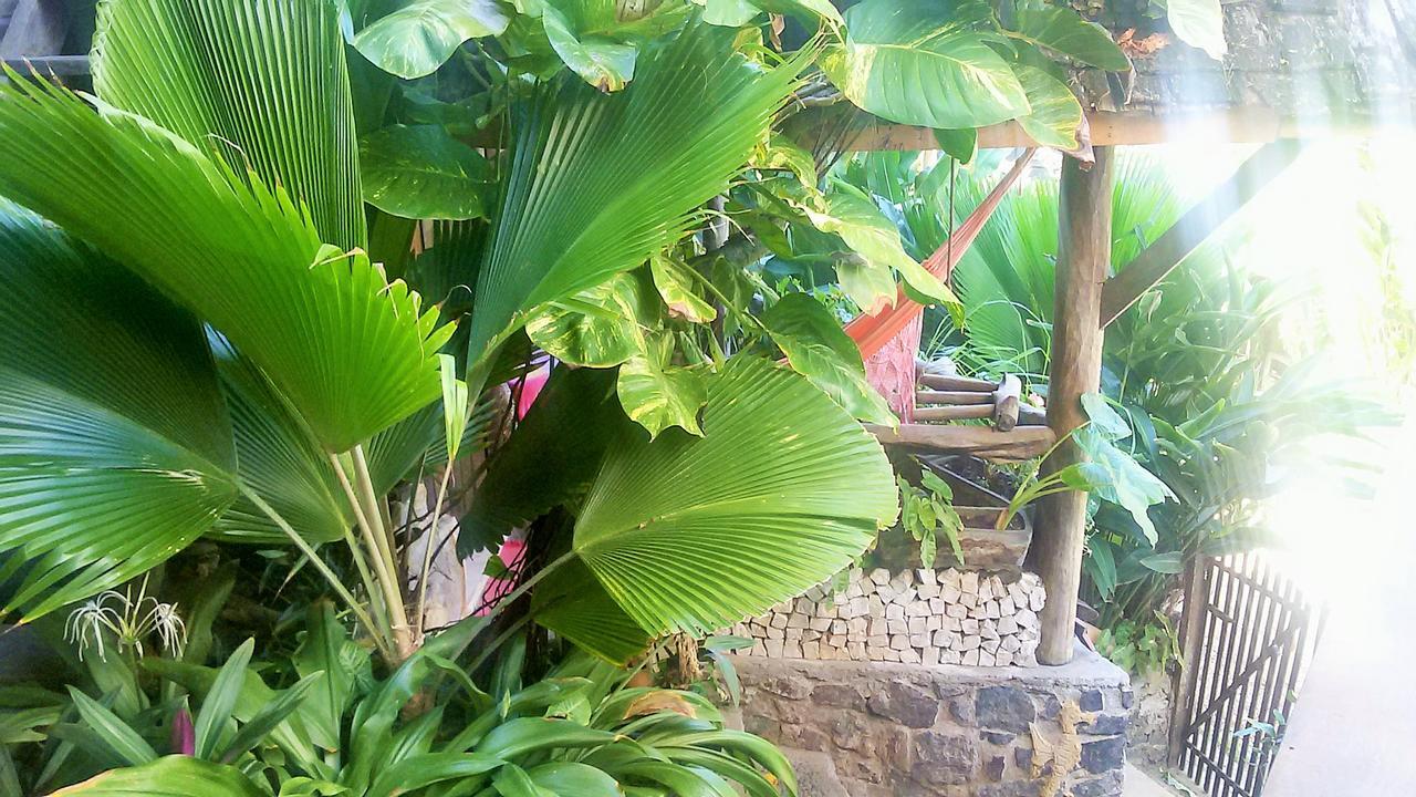 Tanara Itacare